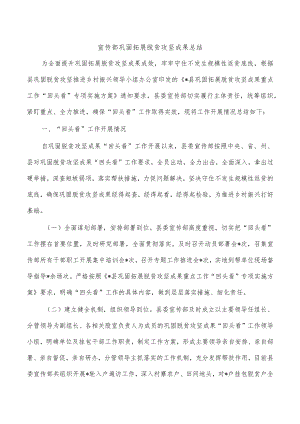 宣传部巩固拓展脱贫攻坚成果总结.docx