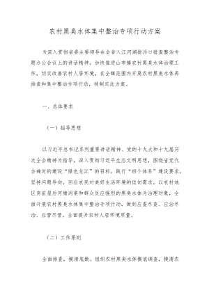 农村黑臭水体集中整治专项行动方案.docx
