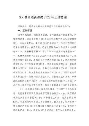 XX县自然资源局2022年工作总结.docx