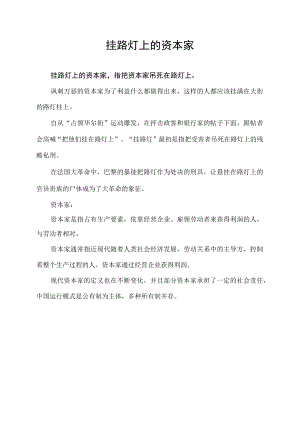 挂路灯上的资本家.docx