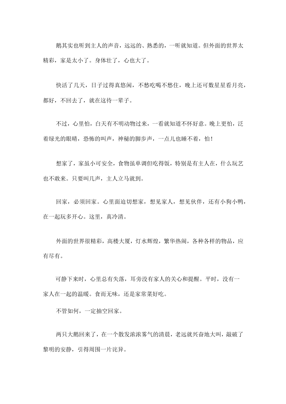 夕阳下的两只鹅 四年级写话.docx_第2页