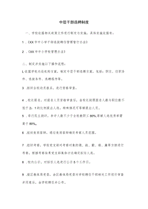 中层干部选聘制度.docx