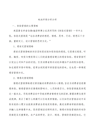 电池市场分析分析.docx