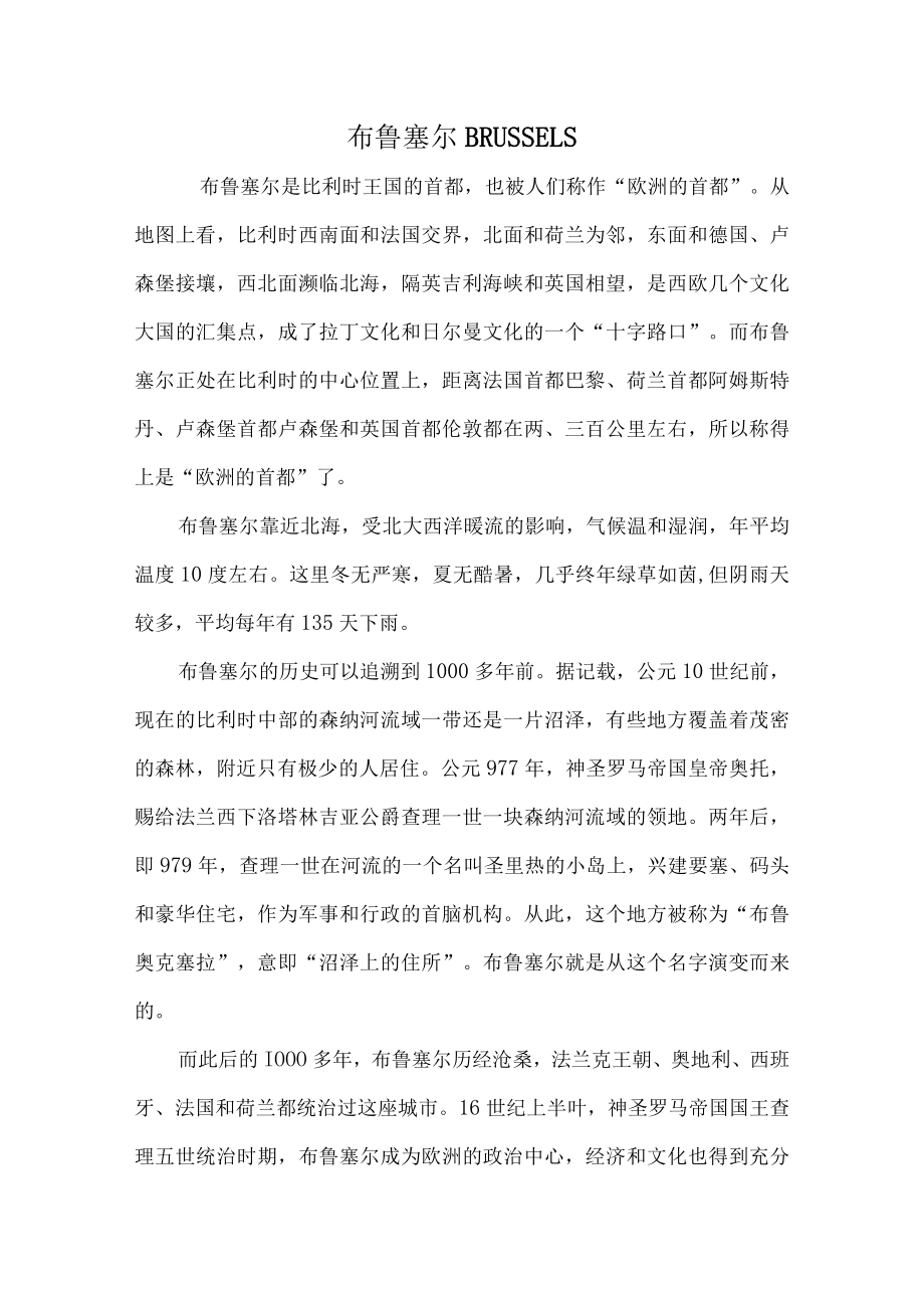 布鲁塞尔.docx_第1页