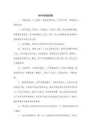 初中班级班规优选.docx