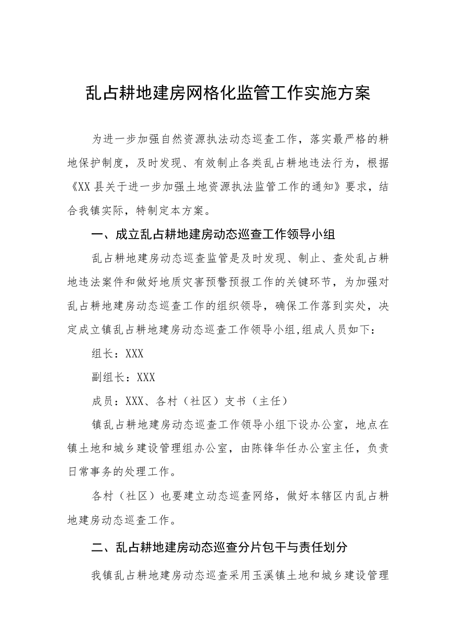 乱占耕地建房网格化监管工作实施方案.docx_第1页