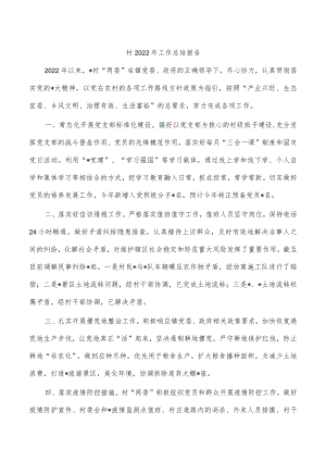 村2022年工作总结报告.docx