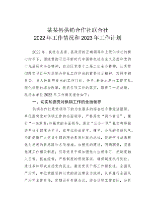 某某县供销合作社联合社2022年工作情况和2023年工作计划.docx