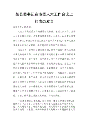某县委书记在市委人大工作会议上的表态发言.docx