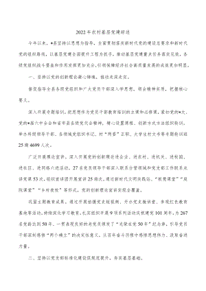 2022年农村基层党建综述.docx