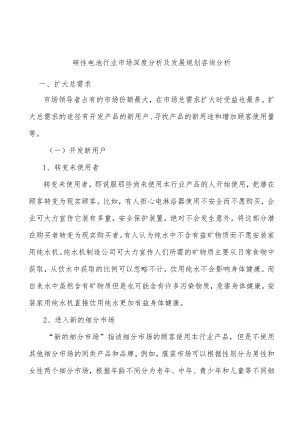 碳性电池行业市场深度分析及发展规划咨询分析.docx