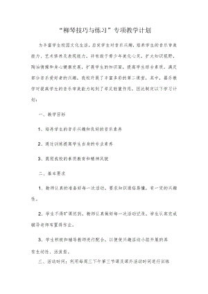 “柳琴技巧与练习”专项教学计划.docx