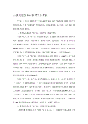 县抓党建促乡村振兴工作汇报.docx