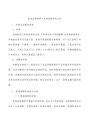 电池全景调研与发展战略研究分析.docx
