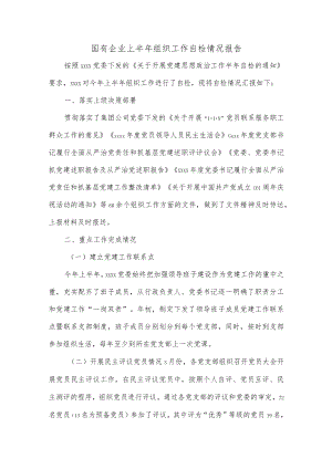国有企业上半年组织工作自检情况报告.docx