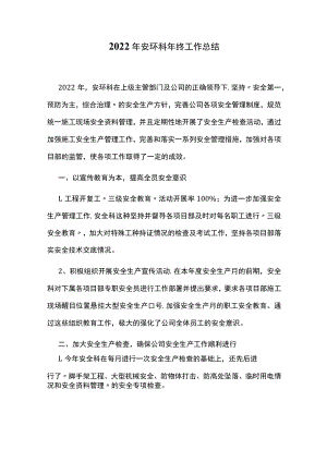 2022年安环科年终工作总结.docx