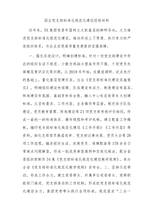 国企党支部标准化规范化建设经验材料.docx