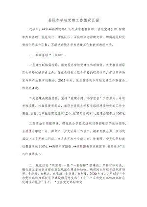 县民办学校党建工作情况汇报.docx