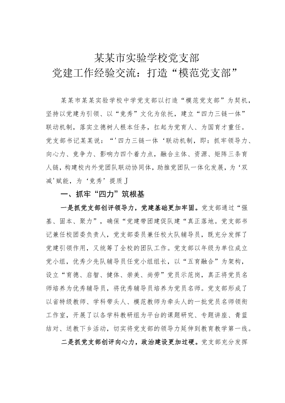 某某市实验学校党支部党建工作经验交流：打造“模范党支部”.docx_第1页