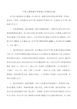干部人事档案专项审核工作情况汇报.docx