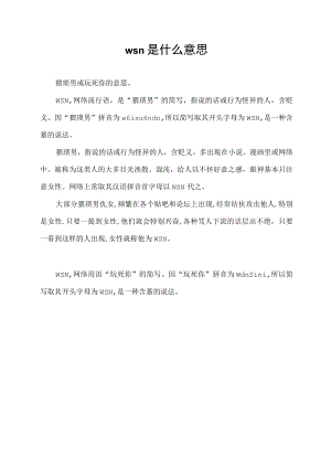 wsn是什么意思.docx