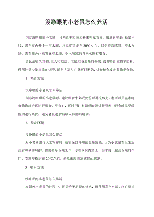 没睁眼的小老鼠怎么养活.docx