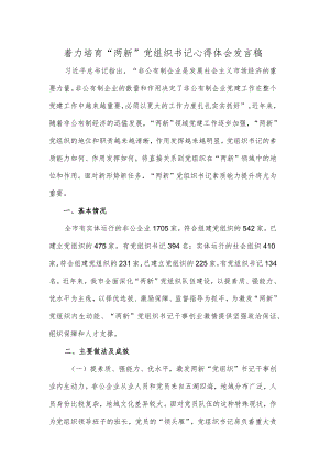 着力培育“两新”党组织书记心得体会发言稿.docx