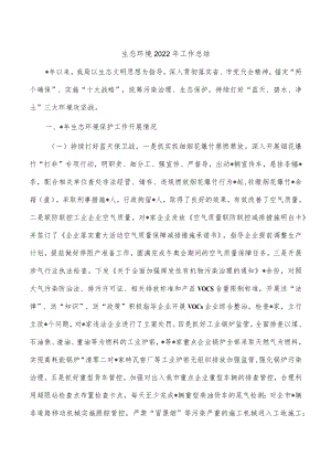生态环境2022年工作总结.docx
