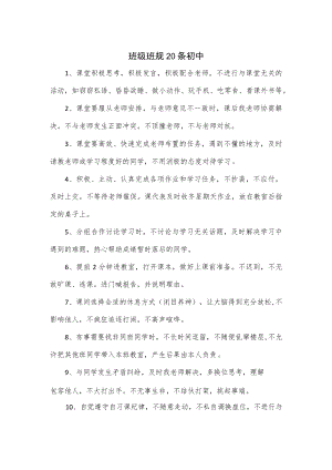 班级班规20条初中.docx