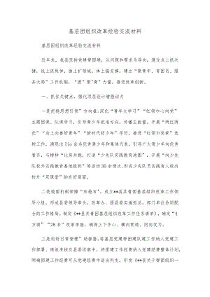 基层团组织改革经验交流材料.docx