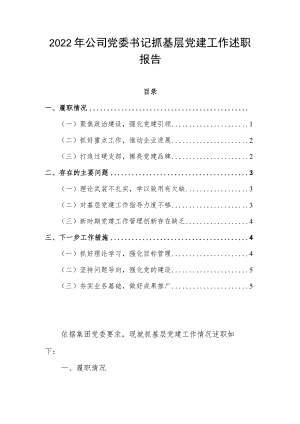 2022年公司党委书记抓基层党建工作述职报告.docx