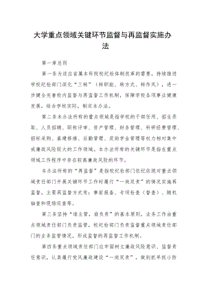 大学重点领域关键环节监督与再监督实施办法.docx