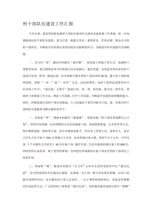 村干部队伍建设工作汇报.docx