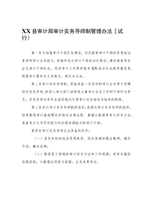 XX县审计局审计实务导师制管理办法（试行）.docx
