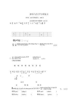 拼音与生字专项复习.docx