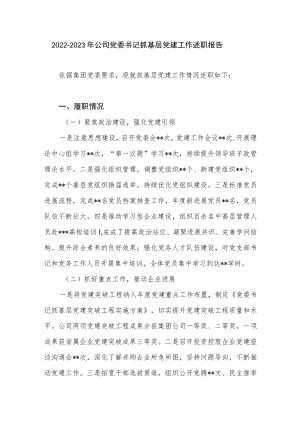 2022－2023年公司党委书记抓基层党建工作述职报告.docx