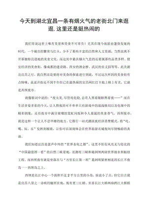 今天到湖北宜昌一条有烟火气的老街北门来逛逛,这里还是挺热闹的.docx