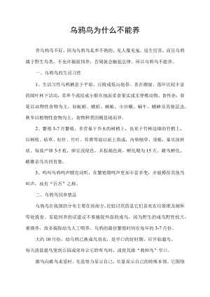 乌鸫鸟为什么不能养.docx