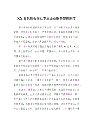 XX县供销合作社下属企业财务管理制度.docx