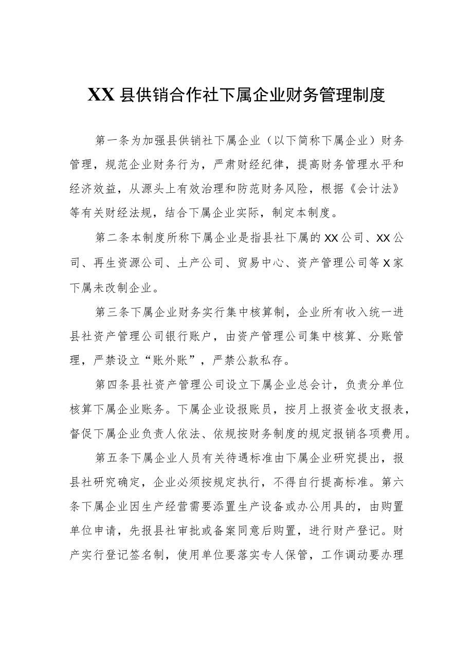 XX县供销合作社下属企业财务管理制度.docx_第1页