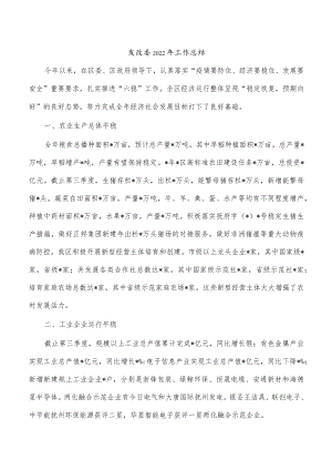 发改委2022年工作总结.docx