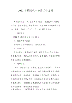 2022年双随机一公开工作方案.docx
