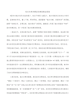 机关支部共建活动典型做法经验.docx