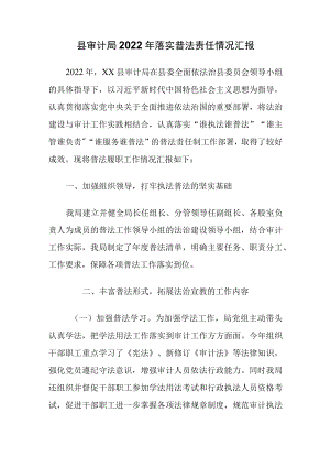 县审计局2022年落实普法责任情况汇报.docx