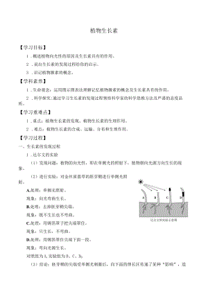 学案植物生长素.docx