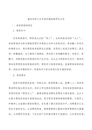 磁性材料行业市场突围战略研究分析.docx