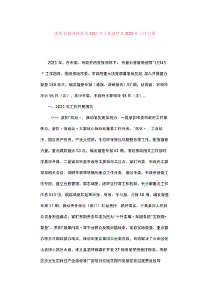 督查年度工作总结材料.docx