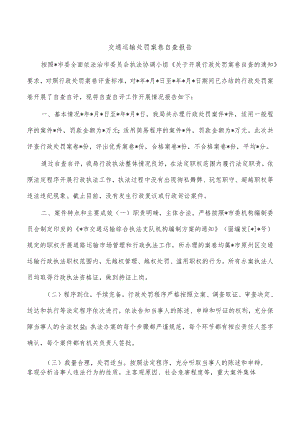 交通运输处罚案卷自查报告.docx