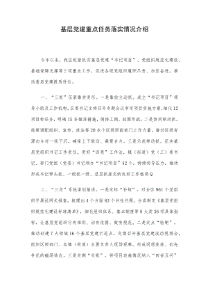 基层党建重点任务落实情况介绍.docx