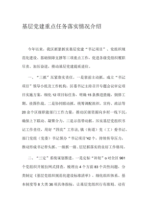 基层党建重点任务落实情况介绍.docx